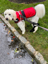 Load image into Gallery viewer, Hands-Free Dog Poop Bag Holder